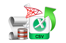 export sql server transaction log file